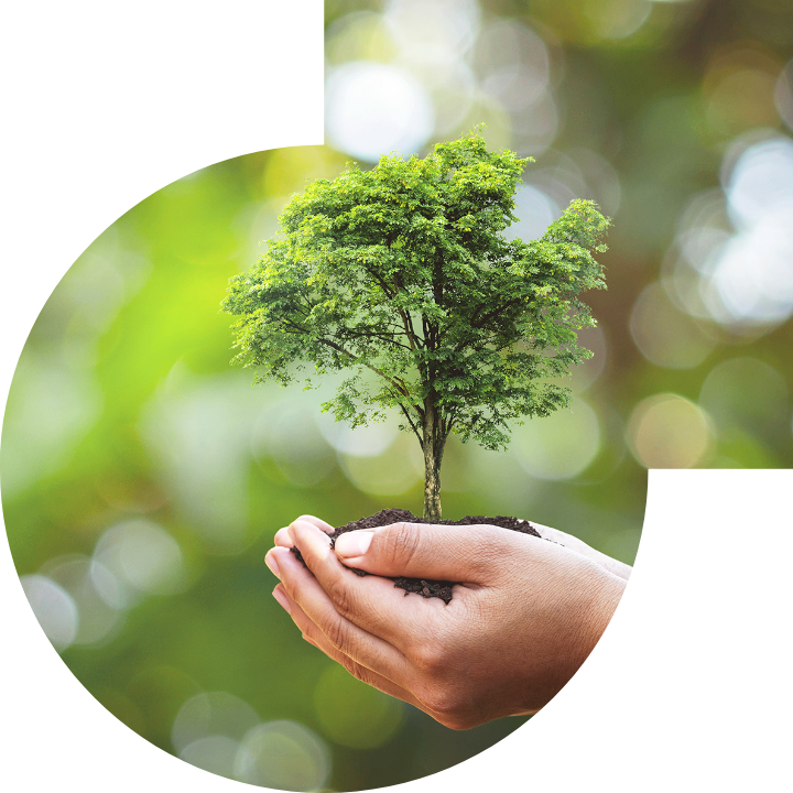 关怀人类、文化、环境与社会